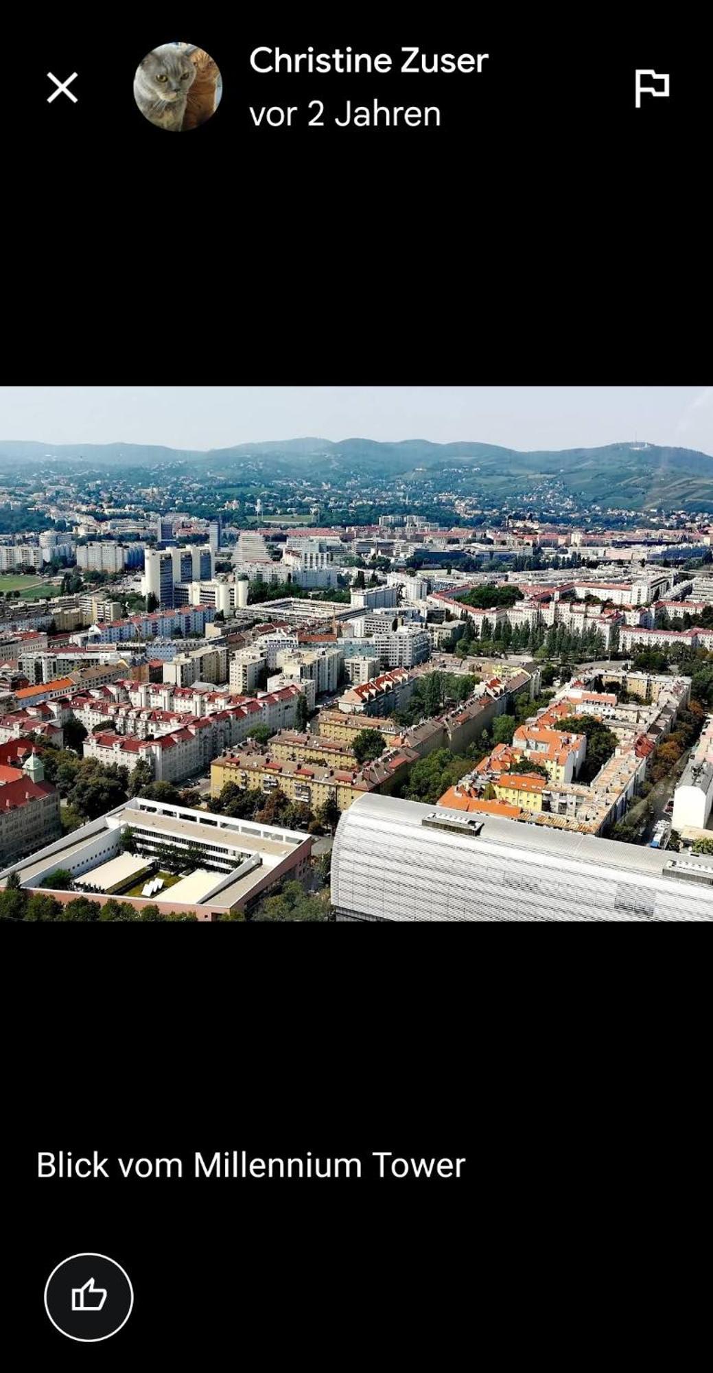 Schoene Altbauwohnung Wien Zentrum Brigittenauer Laende 32 Eksteriør billede